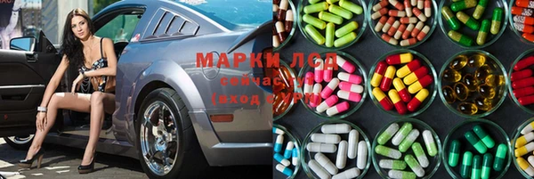 ГАЛЛЮЦИНОГЕННЫЕ ГРИБЫ Балабаново