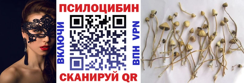 как найти закладки  mega ССЫЛКА  Галлюциногенные грибы GOLDEN TEACHER  Ивантеевка 