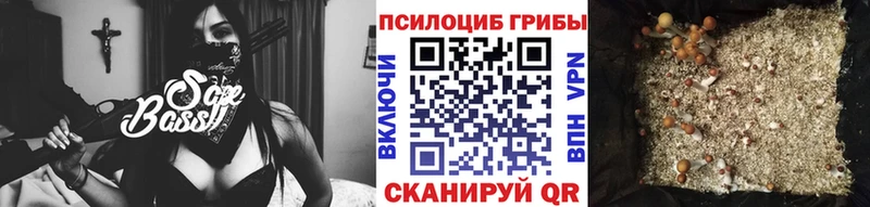 Галлюциногенные грибы Cubensis Ивантеевка